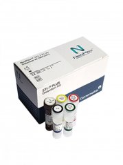 NeoPlex STI-7 PLUS Detection Kit, 96 testů - Genematrix