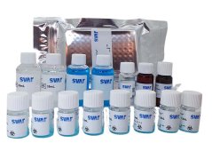 ImmunoscanCC PLUS, 96 testů - Svar Life Science