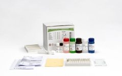 INNO-LIA HTLV I/II Score, 20 testů - Fujirebio