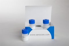 ACCURUN 106 HIV-1 Antigen Positive Control, 3x5 ml - LGC Clinical Diagnostics, Inc. (SeraCare)
