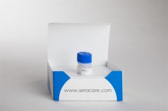 Accurun 1 Multi-Analyte Negative Control, 1x5 ml - LGC Clinical Diagnostics, Inc. (SeraCare)
