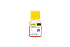 NutriFreez D10 100 ml - Biological Industries (Sartorius)