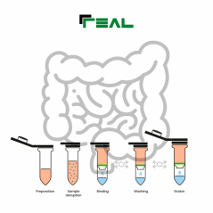 Microbiome Fecal DNA kit, REAL - Durviz