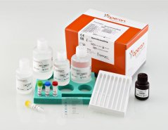 HemochromaStrip, 16 strips - Operon