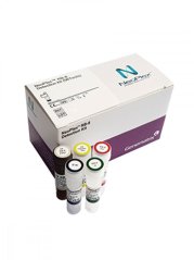 NeoPlex RB-8 Detection Kit, 96 testů - Genematrix