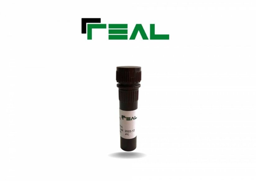 RealSafe, Tincion Geles Agarosa Sin EtE, REAL - Durviz