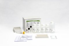 INNO-LIA ANA Update, 20 testů - Fujirebio