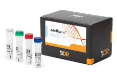 Adellgene Fragile X, 25 testů - Blackhills Diagnostic Resources (BDR)