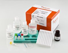 YChromStrip, 16 strips - Operon
