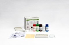 INNO-LIA HCV SCOORE, 20 testů - Fujirebio