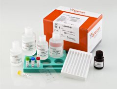 LactoStrip, 16 strips - Operon