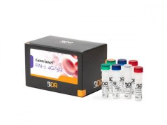 Genvinset PAI-1 4G/5G - Blackhills Diagnostic Resources (BDR)