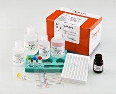 CeliacStrip, 16 testů - Operon