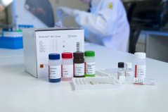 INNO-LIA HCV SCOORE, 20 testů - Fujirebio