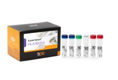 Genvinset®HLA B27 v5, 24 testů - Blackhills Diagnostic Resources (BDR)